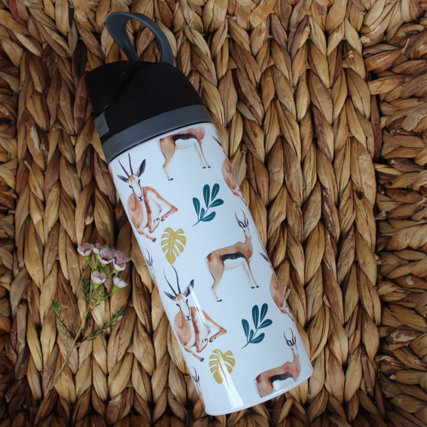 Springbok Generic Owala Bottle