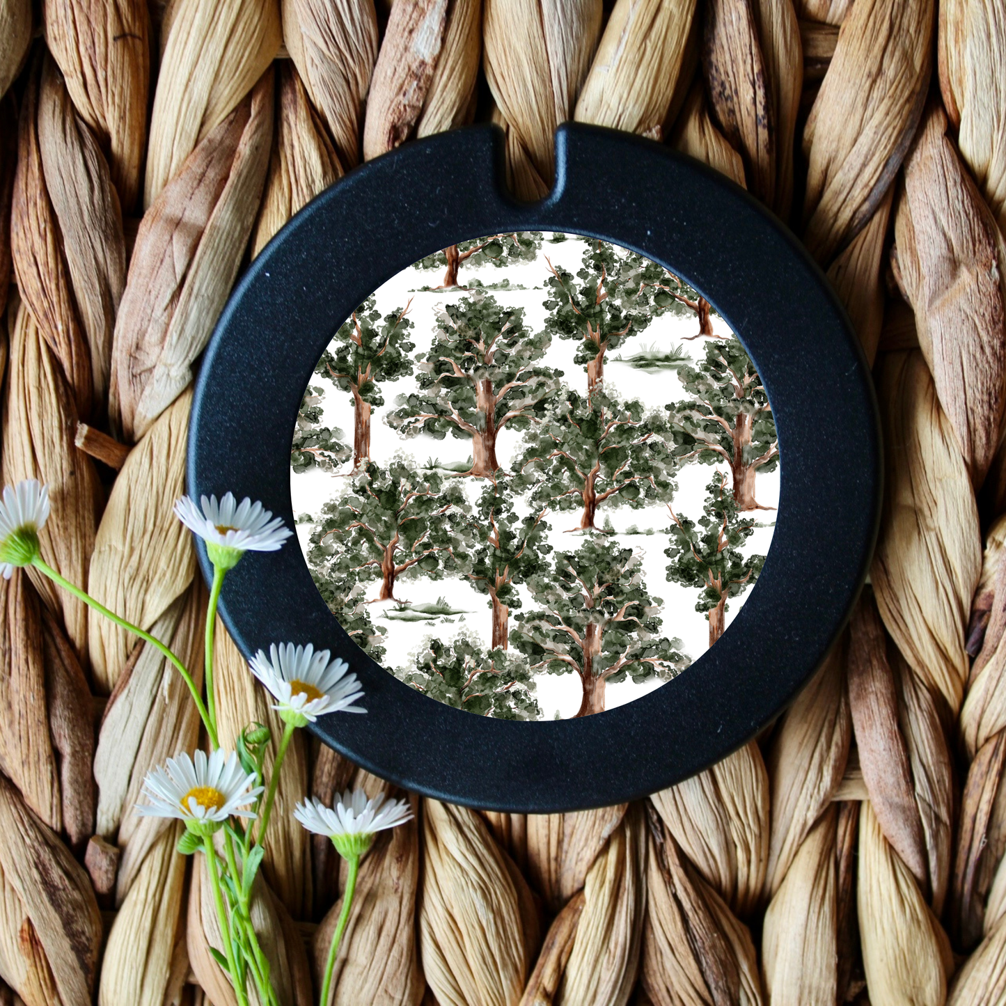 Forest License Disk Holder